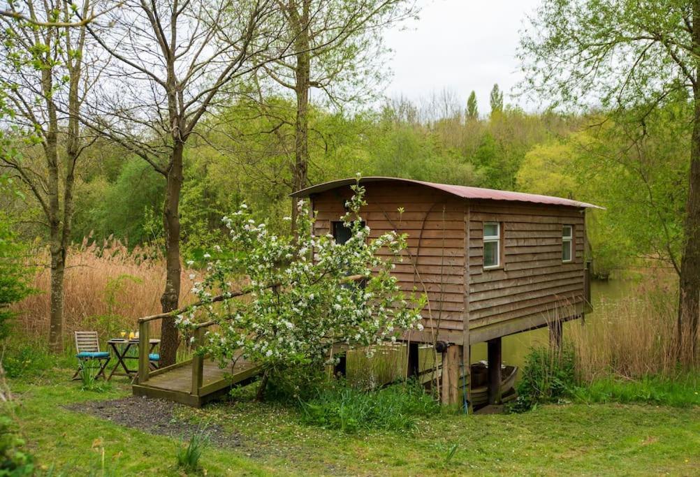 Lakeside Cabin On Stilts- 'Kingfisher' Rous Lench 외부 사진